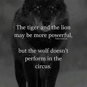 Meet your Posher, Travis